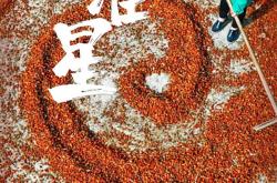 开云体育官方网站-火箭队克服困难，取得决定性胜利