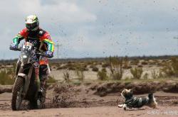 开云体育中国官网-包含青海电影制片厂对决北京，激情对决！的词条