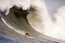 开云体育直播-绿茵场与乒乓台的双重奏，当德国队鏖战法国队，梁靖崑统治全场