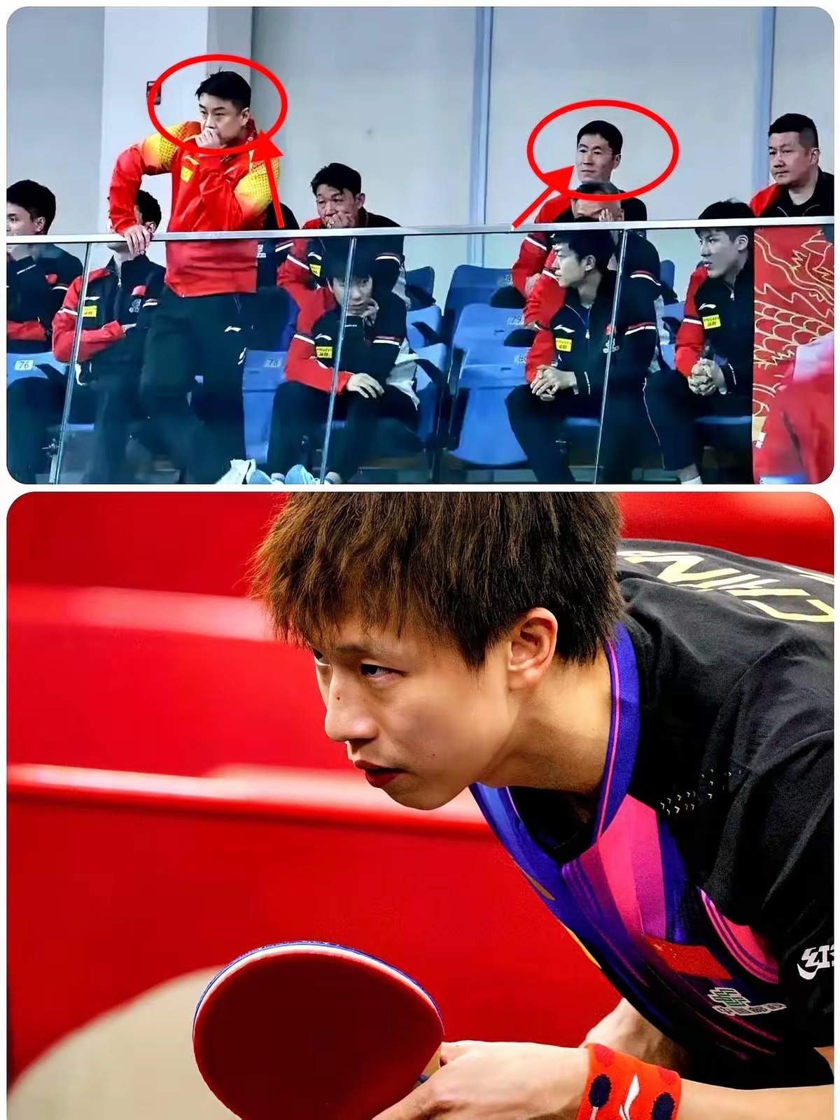 波兰乒乓球队横扫日本乒乓球队，王皓爆发神勇的简单介绍