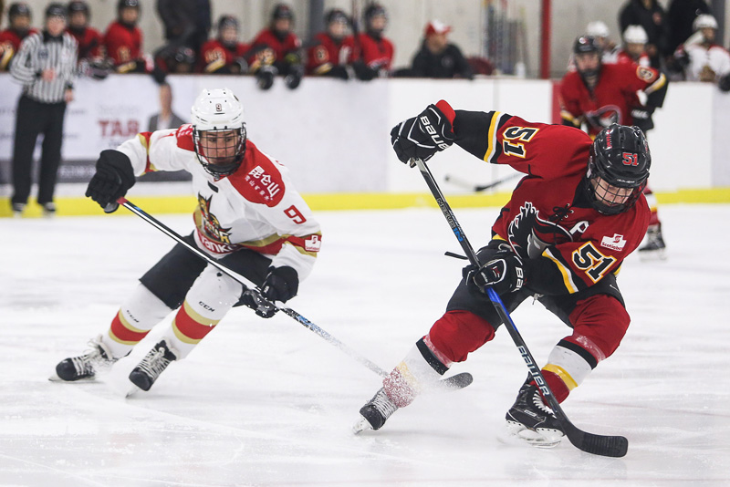 包含加拿大力克巴西，特尔施特根送出助攻的词条