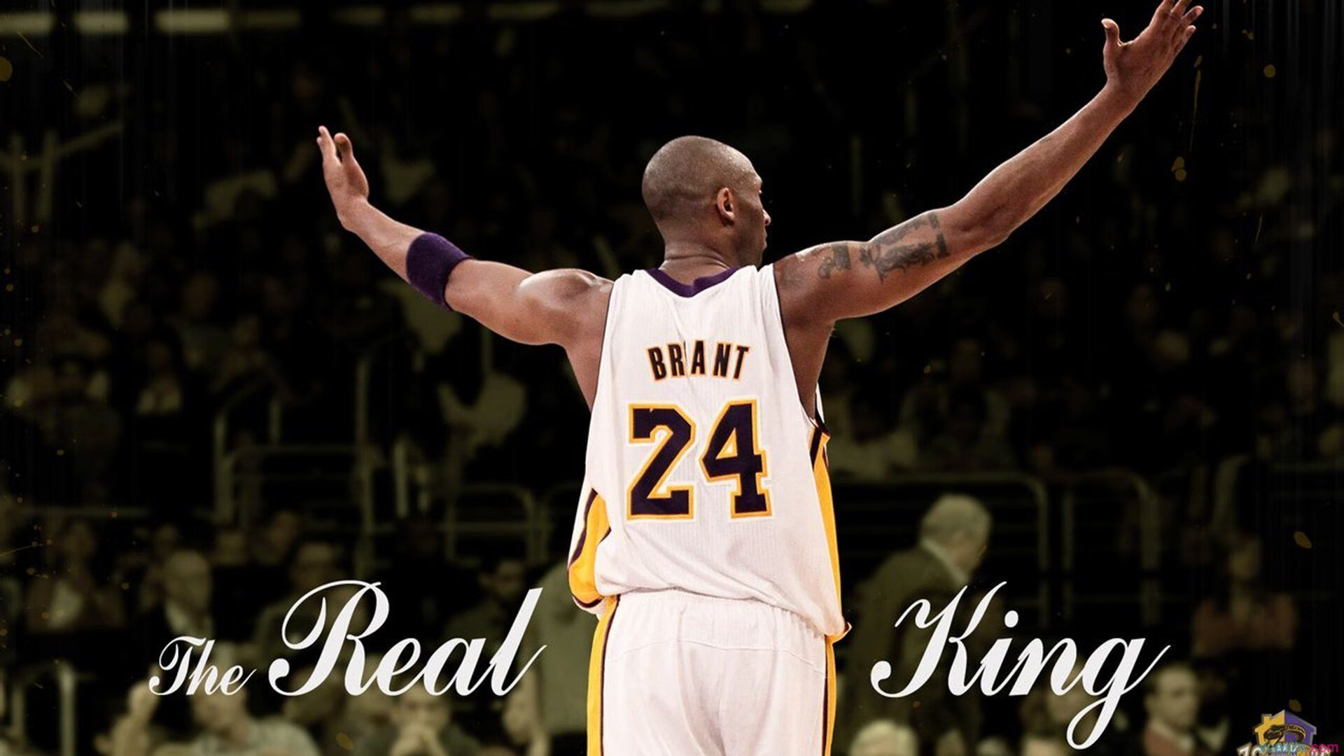 年终总决赛险胜澳网,蒂姆统治全场的战术革命